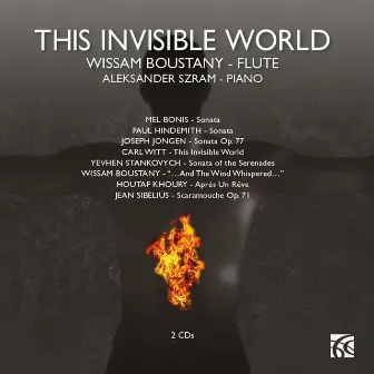 This Invisible World by Wissam Boustany