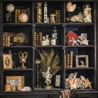 Cabinet Of Curiosities by Bygone Dave