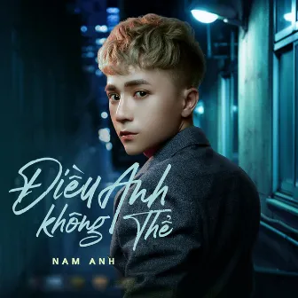 Điều Anh Không Thể by Nam Anh