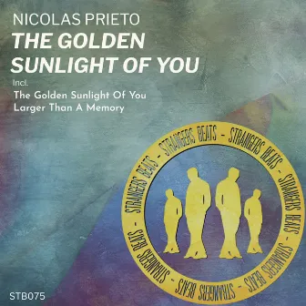 The Golden Sunlight of You by Nicolas Prieto