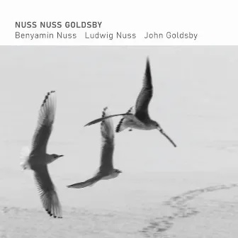 Nuss Nuss Goldsby by John Goldsby