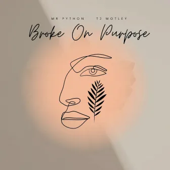 Broke On Purpose by Mr Python