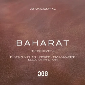 Baharat (Remixes Part 2) by Michael Hooker