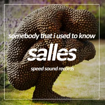 Somebody That i Used to Know by Salles