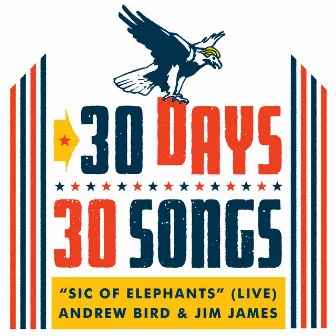 Sic of Elephants (30 Days, 30 Songs) [Live] [feat. Jim James] by Andrew Bird