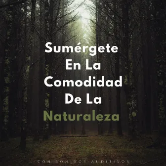 Sumérgete En La Comodidad De La Naturaleza Con Sonidos Auditivos by Relajarse en la Naturaleza