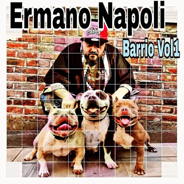 Ermano Napoli