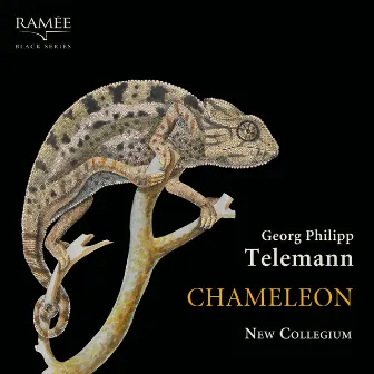 Chameleon by New Collegium