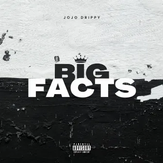 Big Facts by Jojo Drippy