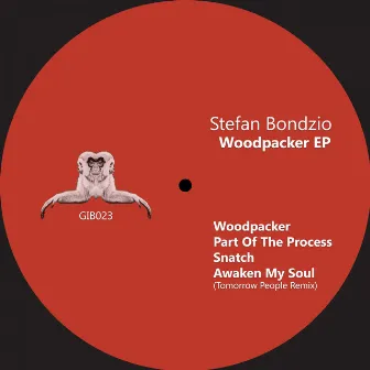 Woodpacker - EP by Stefan Bondzio