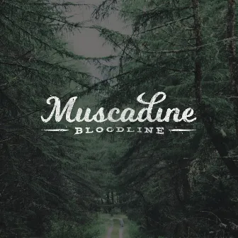 Muscadine Bloodline by Muscadine Bloodline