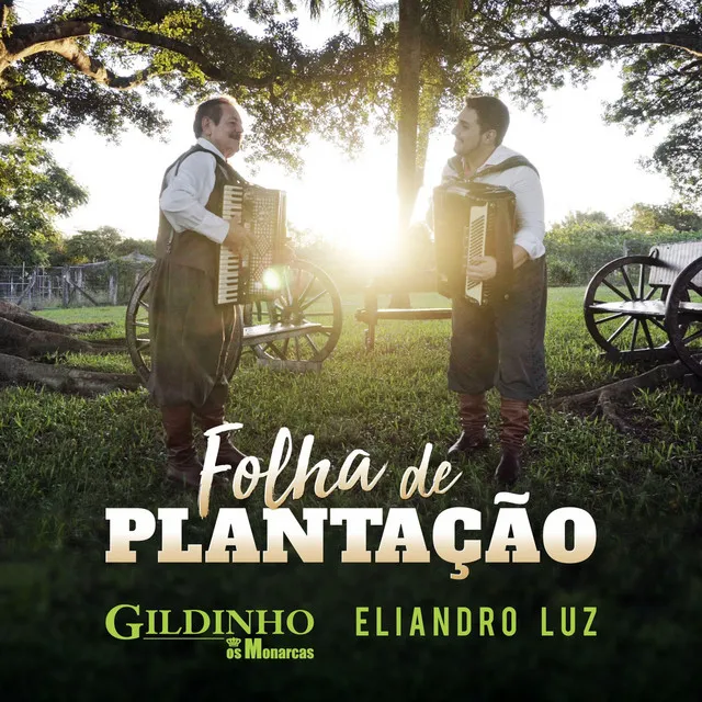 Folha de Plantação