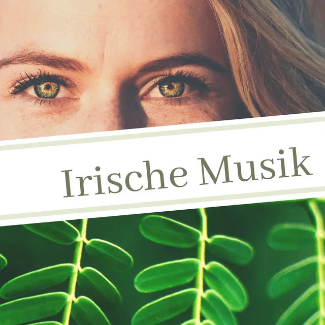 Irische Musik: Entspannende Instrumentale Keltische Musik mit Naturgeräuschen