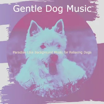 Paradise Like Background Music for Relaxing Dogs by 