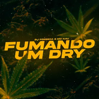 Fumando um Dry by MC Kau