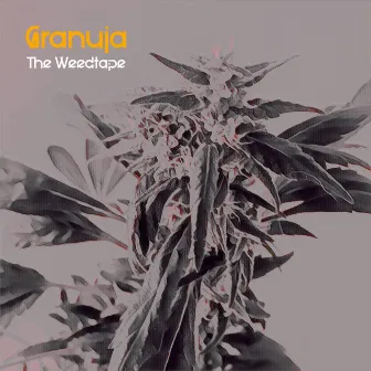 Weedtape by Granuja