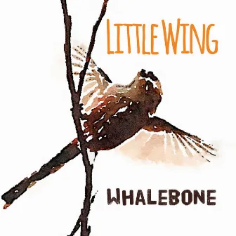 Little Wing by Whalebone