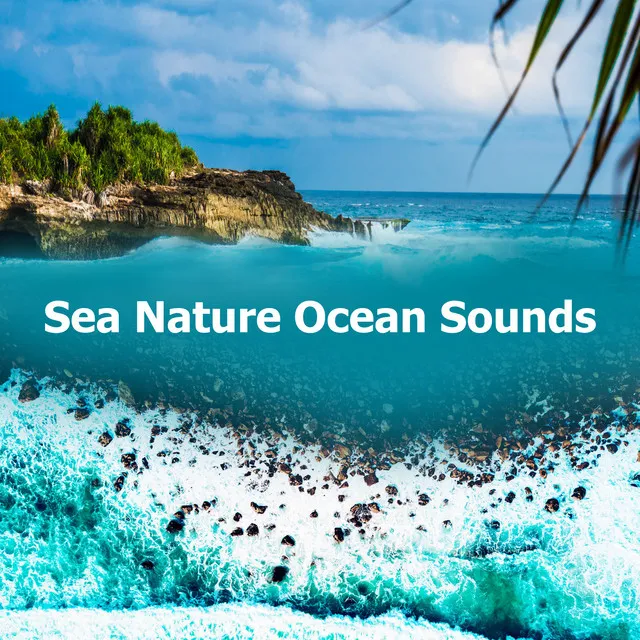 Sea Nature Ocean Sounds