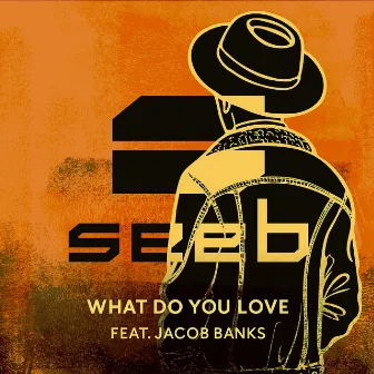 What Do You Love by Seeb