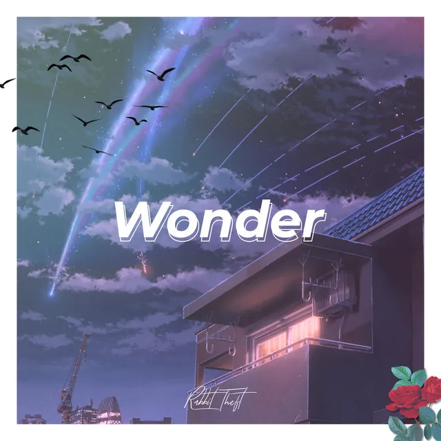 Wonder