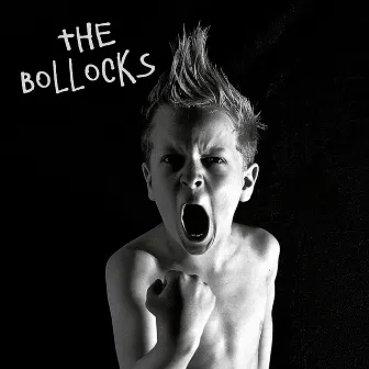 The Bollocks by Bollocks