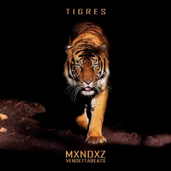 TIGRES by Mxndxz