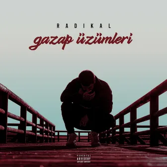 Gazap Üzümleri by Radikal