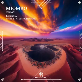 Miombo (Nigel Stately X Insiders Remix) by Tigran