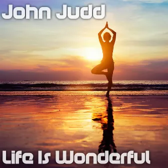 Life Is Wonderful by John Judd