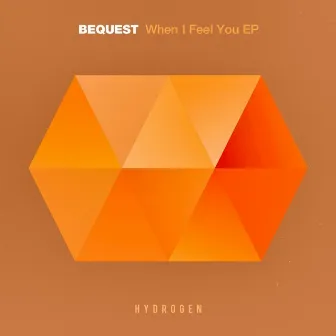 When I Feel You by Bequest