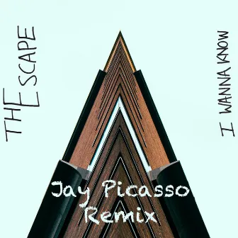 I Wanna Know (Jay Picasso Remix) by Jay Picasso