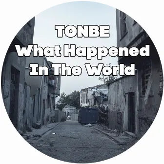 What Happened in the World by Tonbe