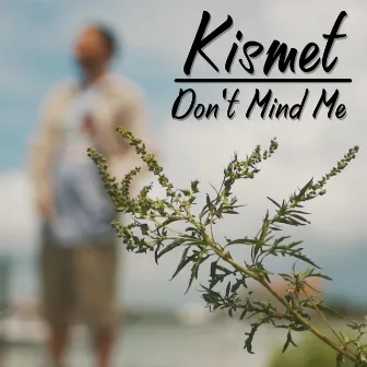 Don't Mind Me by Kismet