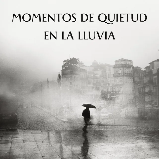 Momentos De Quietud En La Lluvia