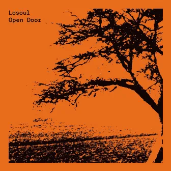 Open Door (Expanded Edition) by Losoul