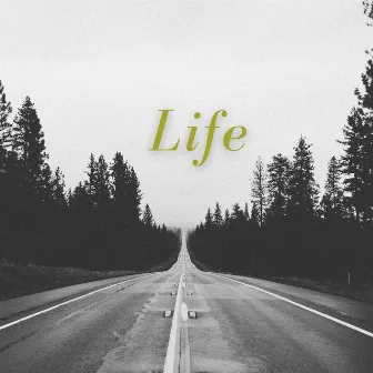 Life by Unknown Artist