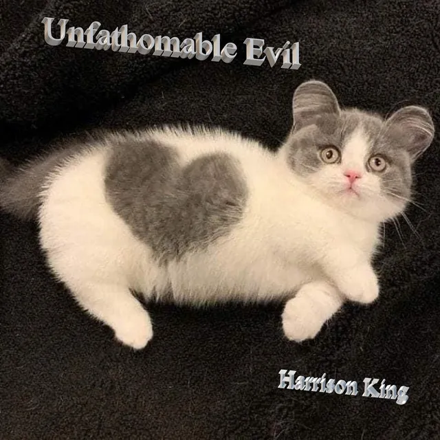 Unfathomable Evil