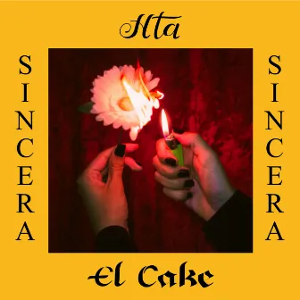 Sincera by HTA