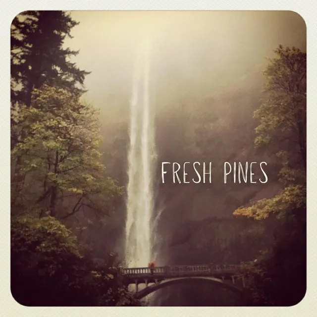 Fresh Pines