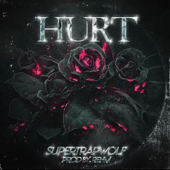 Hurt by SuperTrapWolf