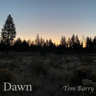 Dawn by Tom Barry