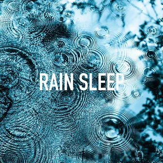 Rain Sleep by Sleep Music Lab