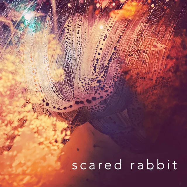 Scared Rabbit