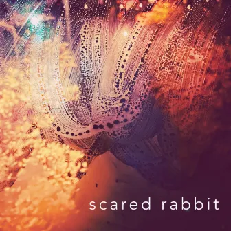 Scared Rabbit by Jennasen