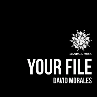 Your File by David Morales Valle