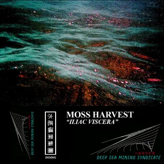 Iliac Viscera by Moss Harvest