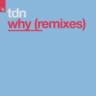 Why (Remixes) by TDN