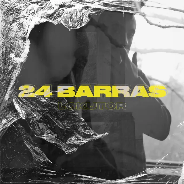 24 barras