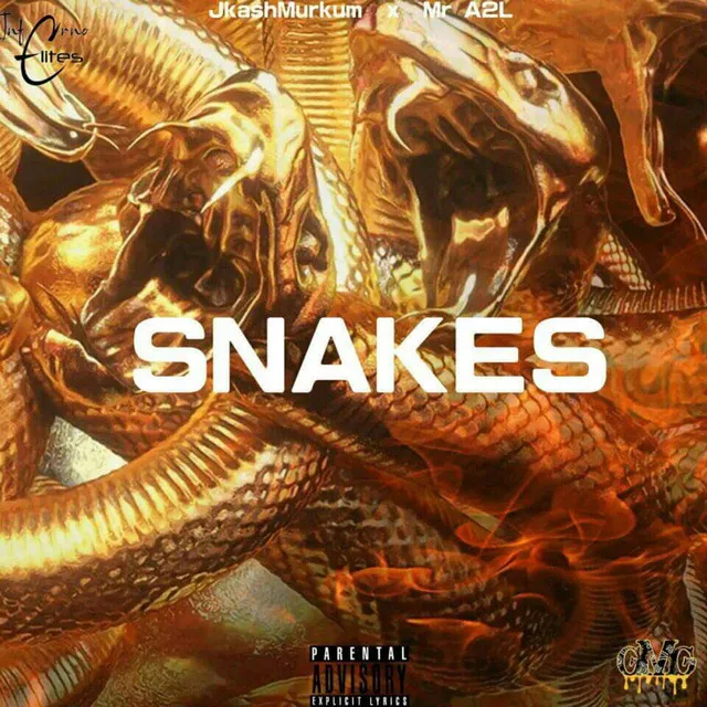 SNAKES