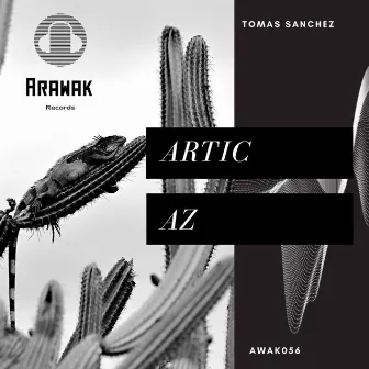 Artic AZ by Tomas Sanchez